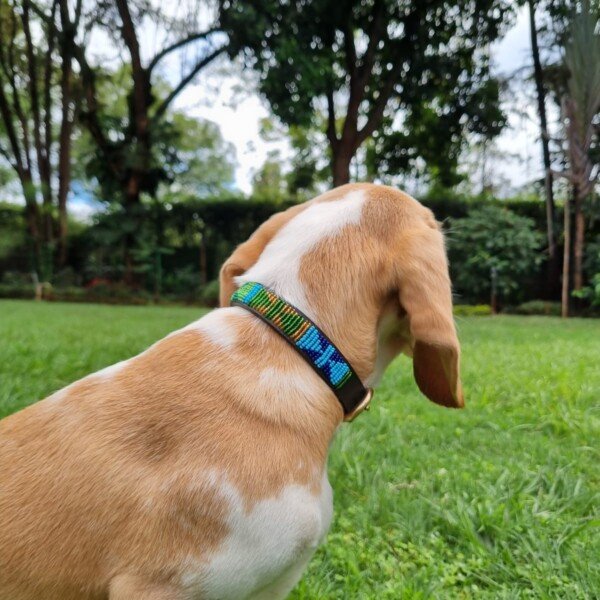Handmade Green Beaded Dog Collar - African Leather Pet Accessory