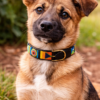 Red, Black, and Orange Beaded Dog Collar - Handmade Maasai Leather