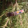 Red, Black, and Orange Beaded Dog Collar - Handmade Maasai Leather