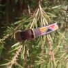 Red, Black, and Orange Beaded Dog Collar - Handmade Maasai Leather