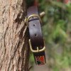Red, Black, and Orange Beaded Dog Collar - Handmade Maasai Leather