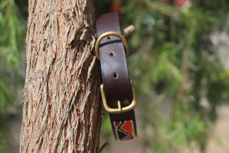 Red, Black, and Orange Beaded Dog Collar - Handmade Maasai Leather
