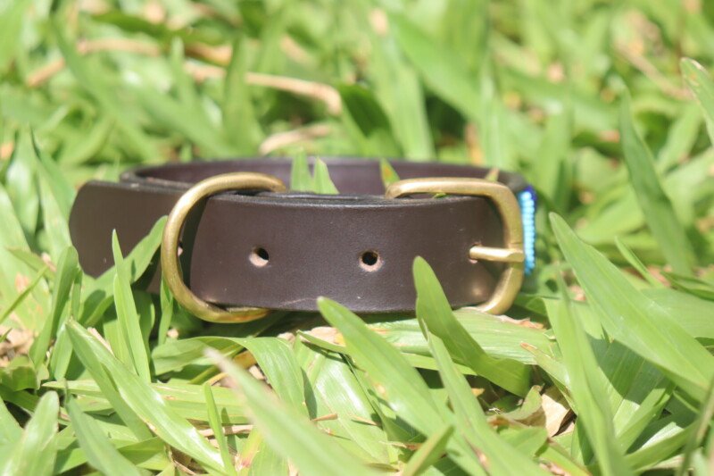 Green Beaded Dog Collar - Handmade Leather with Maasai Beadwork Green Beaded Dog Collar - Handmade Leather with Maasai Beadwork