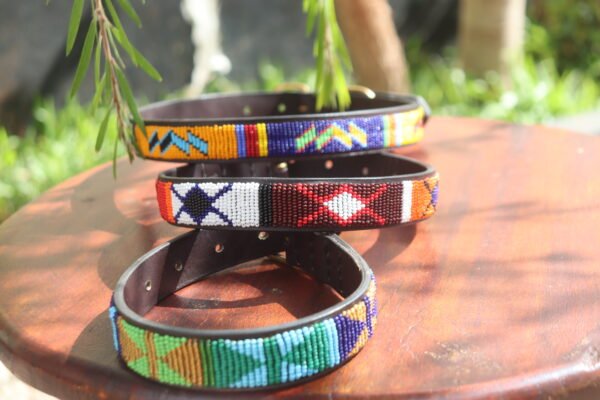 Set of 3 Beaded Dog Collars - Handmade Maasai Leather Collection