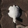 4-inch white soapstone turtle figurine 4-inch white soapstone turtle figurine