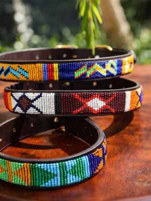 Vibrant beaded dog collars in sunlight Set of 3 Beaded Dog Collars - Handmade Maasai Leather Collection